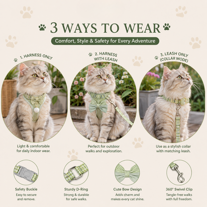Showing 3 ways to Wear 
Cat Harness & Leash