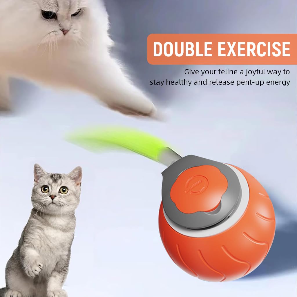 Intelligent Cat Teasing Ball