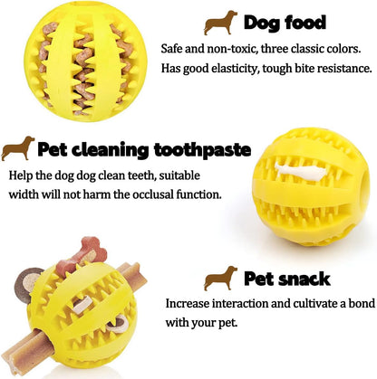 Dog Chewing Ball