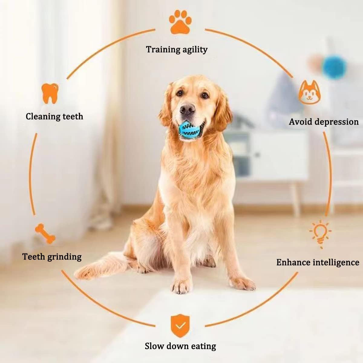 Dog Chewing Ball