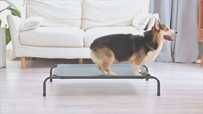Metal Bed for Pets