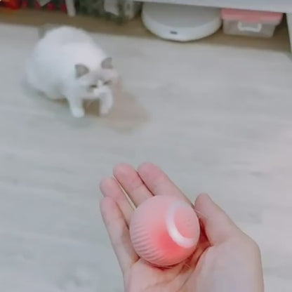 Cat Toy| Self Rotating Gravity Ball
