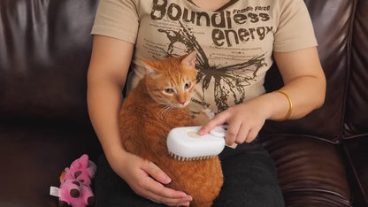 Steam Brush for Dog/Cat