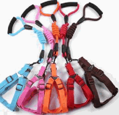 Leash Harness Combo - Danna Pets product photo