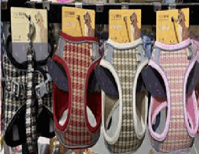 Dog Harness with Leash - Danna Pets product photo