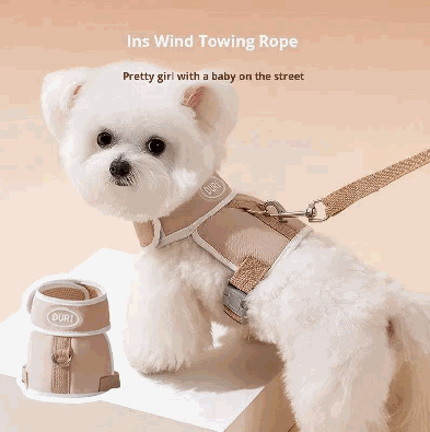 Dog Korean Style Simple - Danna Pets product photo