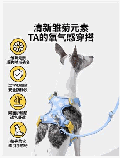 Premium Harness with Leash - Danna Pets product photo